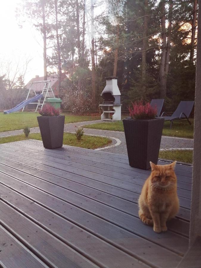 Mazurska Niwa Holiday home *